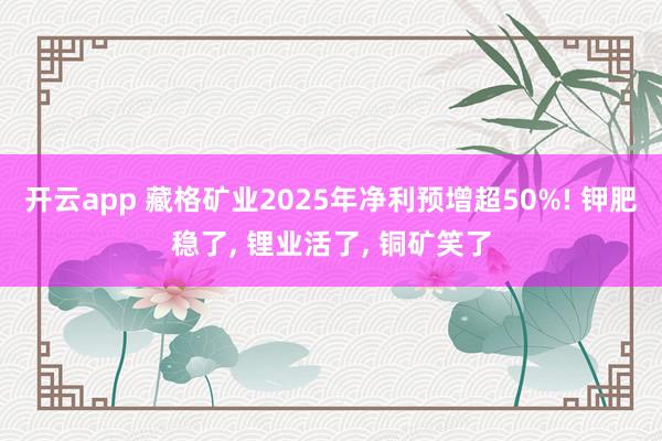 开云app 藏格矿业2025年净利预增超50%! 钾肥稳了, 锂业活了, 铜矿笑了