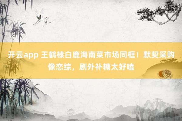 开云app 王鹤棣白鹿海南菜市场同框！默契采购像恋综，剧外补糖太好嗑