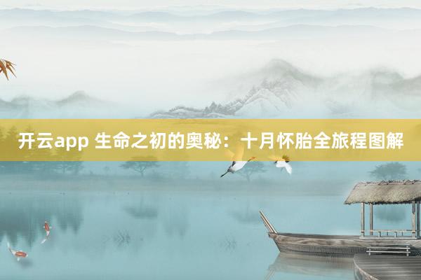 开云app 生命之初的奥秘：十月怀胎全旅程图解