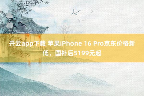 开云app下载 苹果iPhone 16 Pro京东价格新低，国补后5199元起